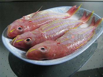 批發(fā)冷凍鮮金線魚 雪魚片 凍兔子